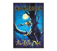 Erik Lámina decorativa Iron Maiden – Fear of the Dark 61x91,5 cm a todo color