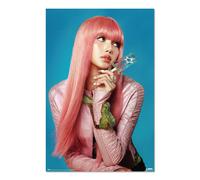 Grupo erik poster lisa - laminas decorativas música 61x91,5cm a todo