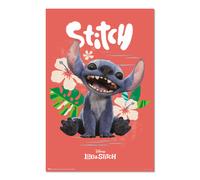 Erik Póster Disney Stitch Live Action – Lámina 61x91,5 cm a todo color