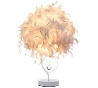 GUANSHAN Lámpara de mesilla de noche de plumas con cristal en forma de corazón, pantalla de mesita de noche de plumas Pantalla de escritorio de luz de mesa de plumas para sala de estar, dormitorio