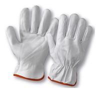 Guante Piel Conductor Vacuno Pro Pack de 12 Pares de Guantes de Conductor en Piel de Vacuno - Resistencia Mecánica, con Ajuste Elástico - Para Industria y Más - Certificados EN388:20163121X