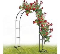 GueTTO Arco de Boda de Acero Inoxidable para Rosales y Enredaderas, Estructura multifunción como Soporte Floral, Anchos 120 a 350 cm para Celebraciones al Aire Libre,W200*230cm