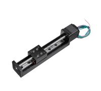 Guía de riel lineal, etapa tipo T, riel de Mesa Deslizante, plataforma de guía de transporte de etapa lineal, Kit de accionamiento de Motor paso a paso, eje deslizante XYZ(Stroke 100mm,12mm pitch)