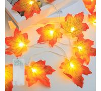 Guirnalda de hojas de otoño de 4.9 pies a 32.8 pies con luces, decoración de guirnalda de otoño de calabaza de Acción de Gracias para interiores y exteriores (estilo D, funda de batería, 1.5 m, 10