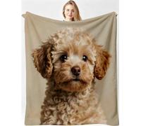 Gumntun Manta 3D Perro Teddy Marrón 150x200cm para Sofa Niño y Mascota-A28