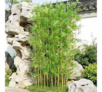 GY8PKVWKWQ Pantalla De Privacidad De Bambú Artificial, Bambú Simulado, Ramas De Vegetación Sintética, Seda De Bambú Falsa, Impermeable, Árbol De Simulación De Porche(50 Root,1.2m/4ft)