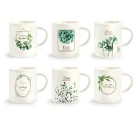 H&H Set 6 Tazze Caff Porcellana Botanic Senza Piatto Cc90