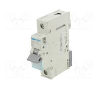 HAGER MBN163E Interruptor magnetotérmico