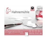 Hahnemühle FineArt Papel para acuarela Expression Acuarela 300 g grano fino 40x50 cm 20 hojas