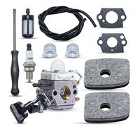 Haishine Carburador para STIHL BG56 Reemplazo para ZAMA C1M-S260B 4241-120-0632 4241-120-0622 4241-120-0615 con Bujía, etc.
