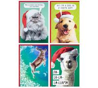 Hallmark Shoebox - Divertidas tarjetas de Navidad en caja (24 tarjetas y 24 sobres) perro, gato, llama, reno
