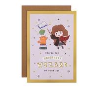 Hallmark Tarjeta de cumpleaños de Harry Potter, diseño de Hermione con actividad de rompecabezas