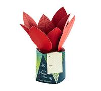 Hallmark Tarjeta de Navidad para ambos, diseño contemporáneo de plantas emergentes en 3D
