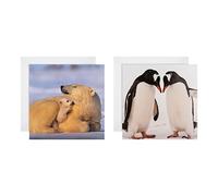 Hallmark Tarjetas de Navidad - Paquete de 16 en 2 diseños de National Geographic, 25572277