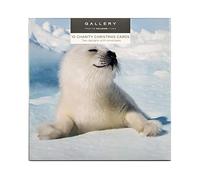 Hallmark - Tarjetas fotográficas navideñas en caja de animales polares, 2 diseños diferentes, 10 unidades