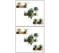 HANABASS Mural de Pared en PVC 2 Estantes y Pegatinas de Plantas Verdes Efecto Visual Realista y Fácil Aplicación para Embellecimiento de Apartamento