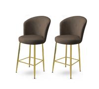 Hanah Home Juego de 2 Taburetes de Bar Antracita y Dorado