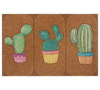 HANSE Home Felpudo de Aspecto de Coco con Suelo Antideslizante de PVC, Alfombrilla para Puerta, Alfombrilla de Entrada para Interior y Exterior, Varios diseños, 45 x 70 cm, Color: Cactus
