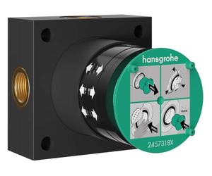 Hansgrohe - Cuerpo de montaje para ducha superior, para 2 dispositivos 24573180