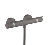 Hansgrohe Grifo termostático de ducha Ecostat Comfort Cromo negro cepillado 13116340