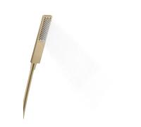 hansgrohe Pulsify E teleducha 100, 1 rociador tipo EcoSmart, 24320140, Color: Bronce cepillado