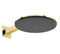 Hansgrohe Raindance Alive S - Rociador de ducha, diámetro 30 cm, 2 chorros, EcoSmart, acabado dorado pulido 24541990