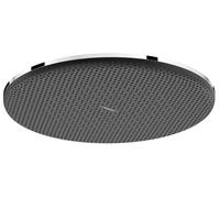 Hansgrohe Raindance Alive S - Rociador de ducha, diámetro 30 cm, EcoSmart, cromo 24521000
