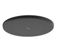 Hansgrohe Raindance Alive S - Rociador de ducha, diámetro 30 cm, EcoSmart, negro mate 24521670
