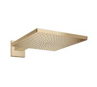 Hansgrohe Raindance E - Rociador de ducha 30 x30 cm, bronce cepillado 26238140