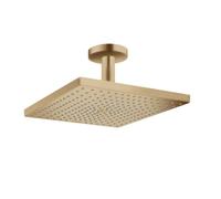 Hansgrohe Raindance E - Rociador de ducha E 300, 1jet, bronce cepillado 26250140