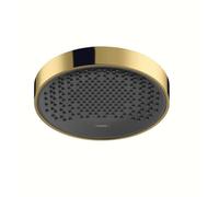 Hansgrohe Rainfinity - Rociador de ducha 250, 1jet, aspecto de oro pulido 26228990