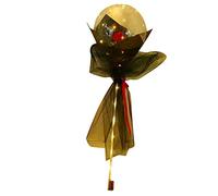 Haofy Juego Completo de Globos de Rosas Brillantes, Ramo de Globos Transparente Iluminado para Decoración para Fiesta de Boda (rojo)