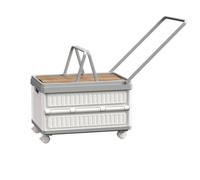 harayaa Contenedor de Almacenamiento Exterior con Ruedas Rodante Caja Organizador Baúl Portátil Ruedas Suaves y Asa para Transporte Diseño Compacto y Estable Adecuado para Jardín Playa Salidas