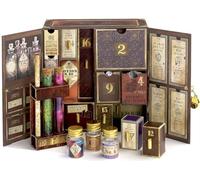 Harry Potter Calendario de adviento Potions Mujer Calendario de Adviento Plateado Cartón