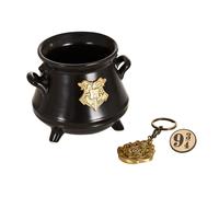 Harry Potter Paquete Premium 3D Cauldron Taza + 3D Keychain + Pin Hogwarts '