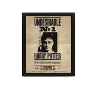 Harry Potter - Poster 3D Potter / Sirius, Negro, 10 x 8 x 1.3 cm