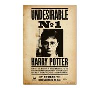 Harry Potter Póster N1 No Deseado