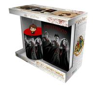 Harry Potter Set De Regalo Taza Pck 320 ml Ron Hermione Llaveros Y Cuaderno