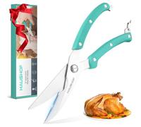 HAUSHOF Tijeras de Cocina para Aves 255 mm, Tijeras Robusta y Afilada de Acero Inoxidable, Tijeras para Carne, Pollo, Pescado, Huesos y Verduras
