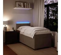 HEFZGDB Cama con somier con colchón, color gris claro, 100 x 200 cm, terciopelo, cama matrimonial, cama de matrimonio, cama doble para invitados, salón, albergue dormitorio