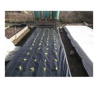 HELGUEFER - Bobina Plastico Negro Agricola Perforado 4M G/400 | Bobina Film 150M Polietileno, Resistente | Perforaciones 30 x 30 cm, Cultivo de Lechugas, Hortalizas | Para Agricultura y Campo