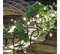 Hellum Cadena de luces LED para exterior blanco frío 80 LED, iluminada 7,9 m, Cadena de luces LED con temporizador para exterior, cable verde, Cadena de luces para exterior blanco frío <59 lm 151916