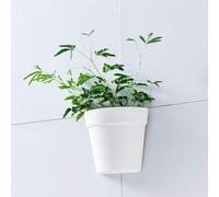 HERCHR Plantador Colgante de Pared, 8x16.3x14.7cm de plástico Media Redonda de Montura de Pared Recipiente de Planta de Maceta con Adhesiva para decoración Interior Suculento Maceta