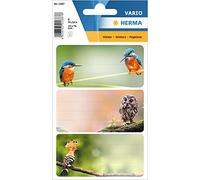 HERMA 1887 Etiquetas de libro para etiquetar, pájaros caseros (76 x 35 mm, 9 etiquetas con nombre, papel, mate), autoadhesivas, permanentes, etiquetas escolares para libros, cuadernos, cajas, hogar,