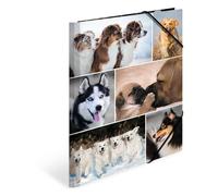 HERMA 19211 - Carpetas A4 Animales Perros, 3 unidades, carpeta de esquina infantil de cartón con impresión interior y banda elástica, juego de carpetas de cartón resistente para niños y niñas