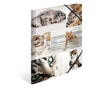 HERMA 19212 Carpeta de dibujo Animales con motivo de Gatos, A4, cartón resistent