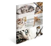 HERMA 19212 Carpetas A4 animales gatos 3 unidades niños carpeta de cartón con impresión interior y goma elástica, juego de carpetas de cartón para niños y niñas