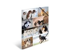 HERMA 19218 - Carpetas A3 Animales Perros, 3 unidades, carpeta de esquina infantil de cartón con impresión interior y banda elástica, juego de carpetas de cartón resistente para niños y niñas