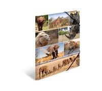 HERMA 19222 Animals Africa Collection - Carpetas de cartón para niños, tamaño A3, 3 unidades, con impresión interior y banda elástica, juego de carpetas de cartón resistente para niños y niñas