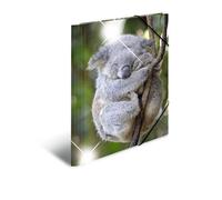 HERMA 19323 Carpeta de dibujo Animales brillante con motivo Koala, A4, plástico resistente, con impresión interior, carpeta de 1 palmo